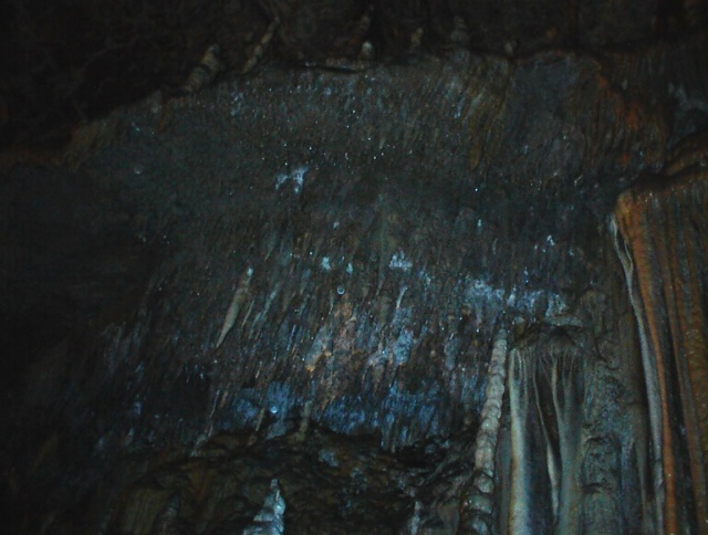 Sommerfahrt Slovenien - Bild 000701_021.jpg