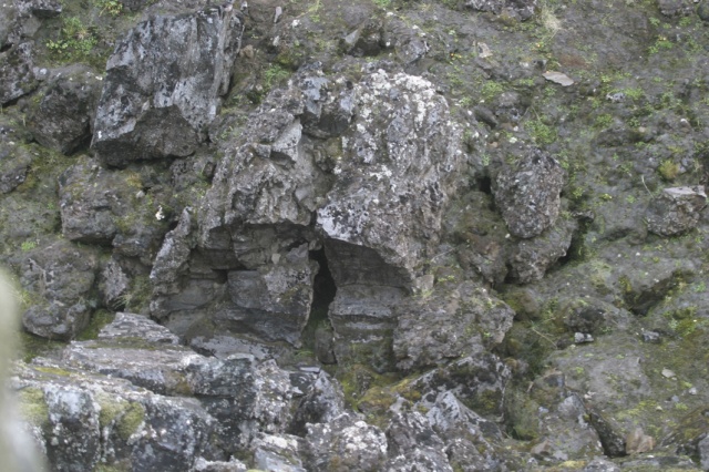 Sommerfahrt Island 2005 1/2 - Bild Island_050807_075.jpg