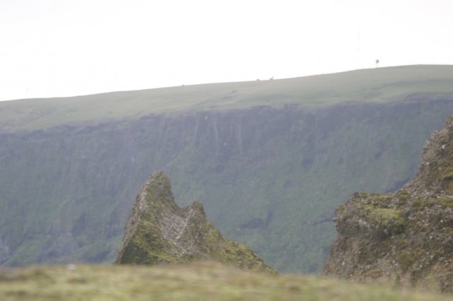 Sommerfahrt Island 2005 1/2 - Bild Island_050810_506.jpg