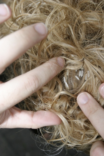 Standesamtliche Hochzeit von Sabrina und Peter - Bild IB_070810_147.jpg