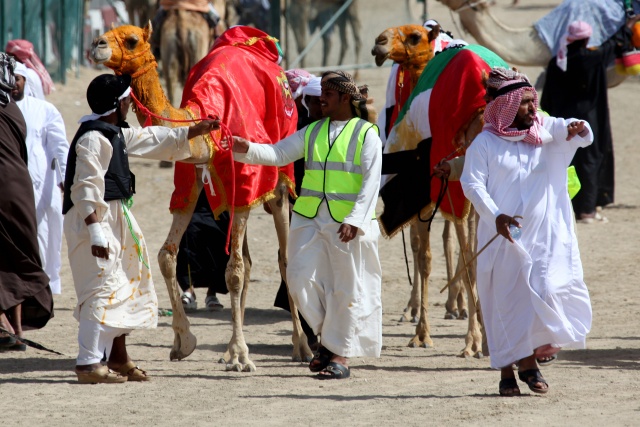 Vereinigte Arabische Emirate im April 2009 - Bild IB_090405_017.jpg