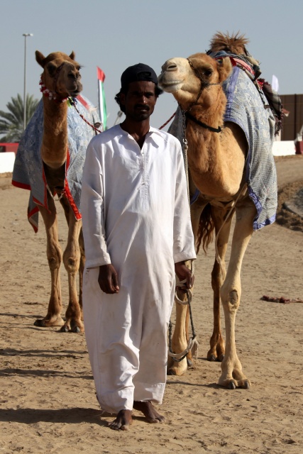 Vereinigte Arabische Emirate im April 2009 - Bild IB_090405_067.jpg