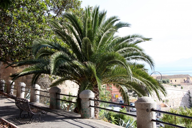 Cagliari/Sardinien/Italien - Juni 2009 - Bild IB_090623_032.jpg