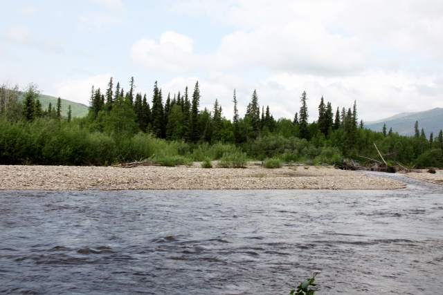 Alaska Juni 2012 - Bild IB_120610_015.jpg