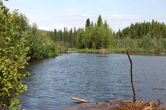 Alaska Juni 2012 - Bild IB_120611_061.jpg