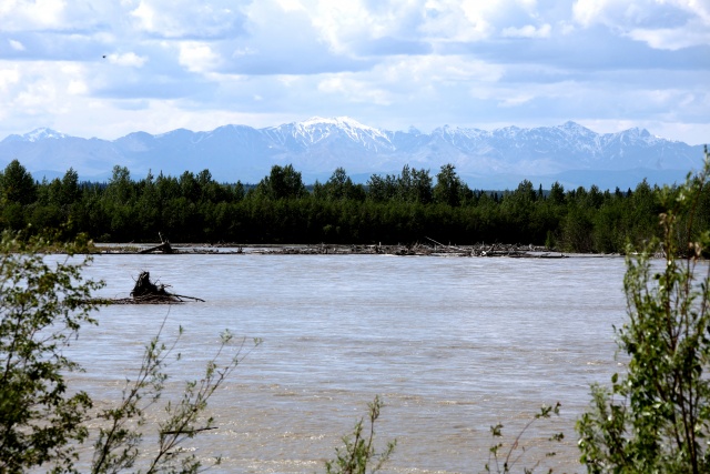 Alaska Juni 2012 - Bild IB_120615_004.jpg