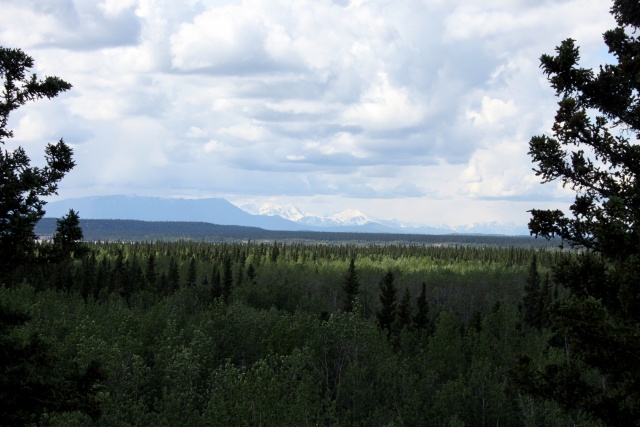 Alaska Juni 2012 - Bild IB_120615_031.jpg