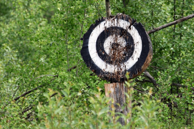 Alaska Juni 2012 - Bild IB_120615_046.jpg